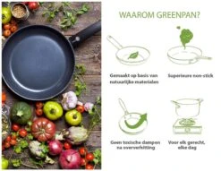 GreenPan Cambridge Steelpan 16cm - Zwart - Inductie - PFAS-vrij -Kookwaren Verkoop 1200x926 25